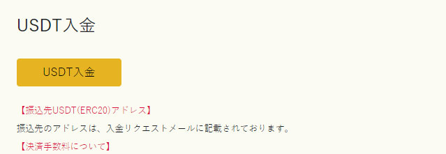 イメージ：USDT入金依頼を実施